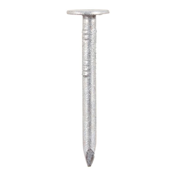 Picture of Clout Nails - Galvanised 25 x 2.65mm 2.5kg