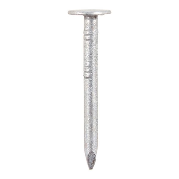 Picture of Clout Nails - Galvanised 30 x 2.65mm 2.5kg